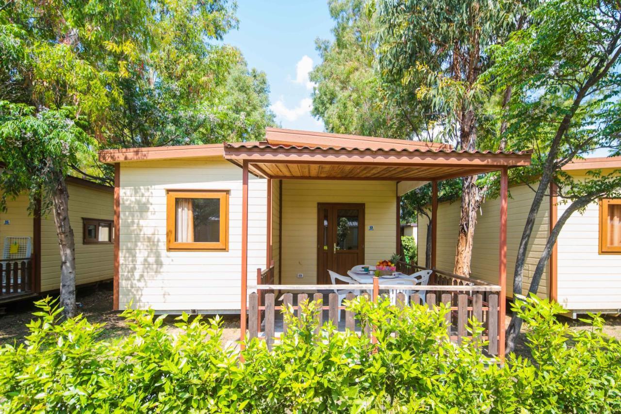 Camping Le Palme Marina Di Bibbona Eksteriør billede