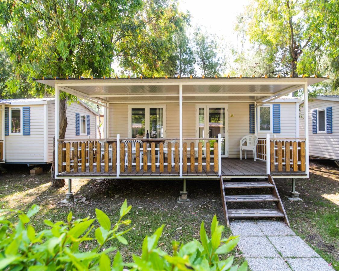 Camping Le Palme Marina Di Bibbona Eksteriør billede