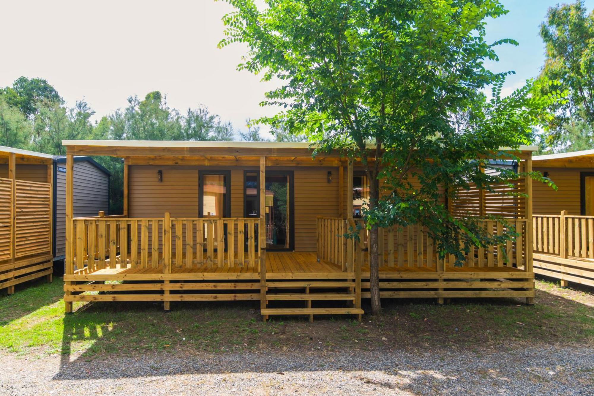 Camping Le Palme Marina Di Bibbona Eksteriør billede